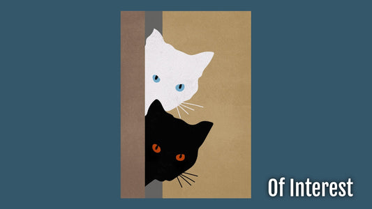 Black and white curious cats peering around a door